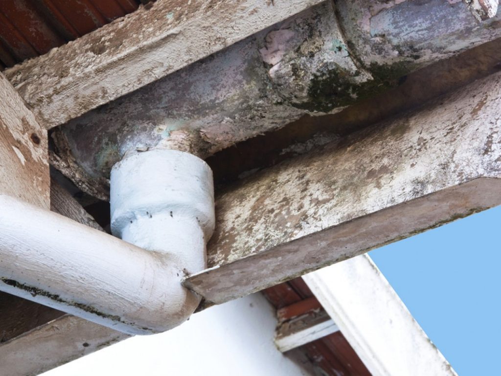 asbestos detection in ceiling