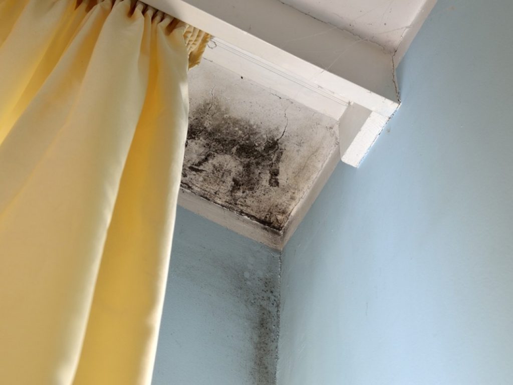 Black mold on bathroom ceiling