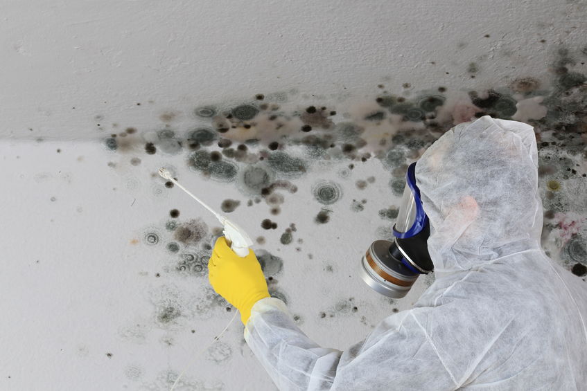 Man spraying mold on wall