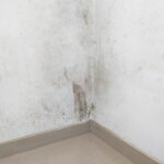 White wall with mold problem