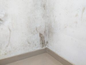White wall with mold problem